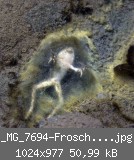 _MG_7694-Frosch-ruht.jpg