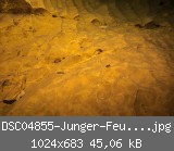 DSC04855-Junger-Feuersalamander-umgewandelt-w.jpg