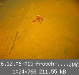 6.12.06-015-Frosch-30m-web(.jpg