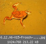 6.12.06-015-Frosch--nah-web.jpg